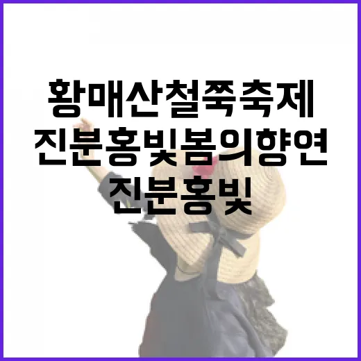 합천 황매산 철쭉축제, 진분홍빛 봄의 향연