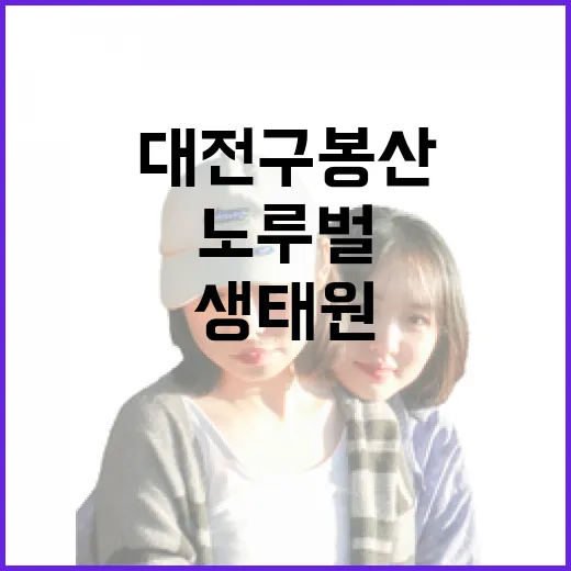 대전 구봉산과 노루벌 생태원 산책길