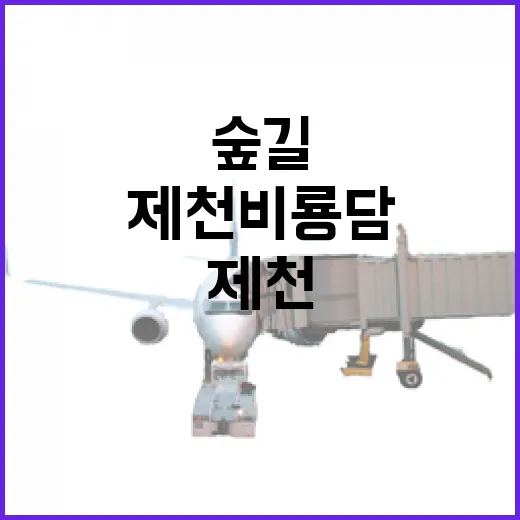 초록빛 물결 따라 걷는 제천 비룡담 숲길