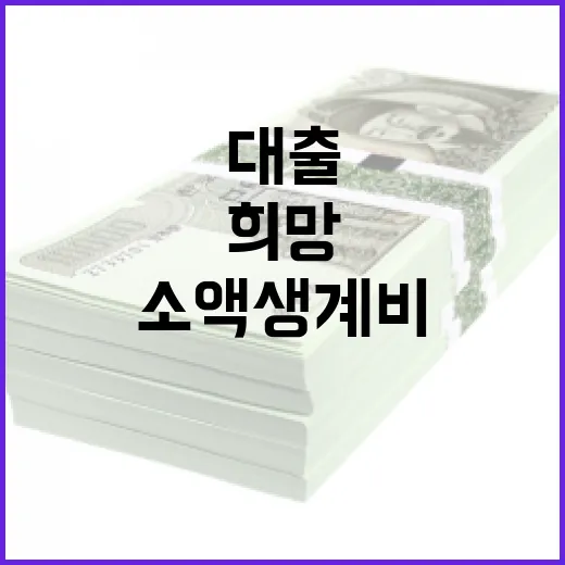 소액생계비 대출, 희망의 첫걸음