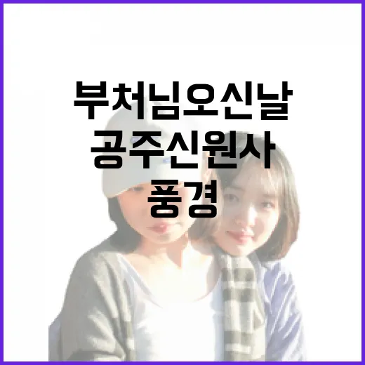 부처님 오신 날, 공주 신원사 풍경
