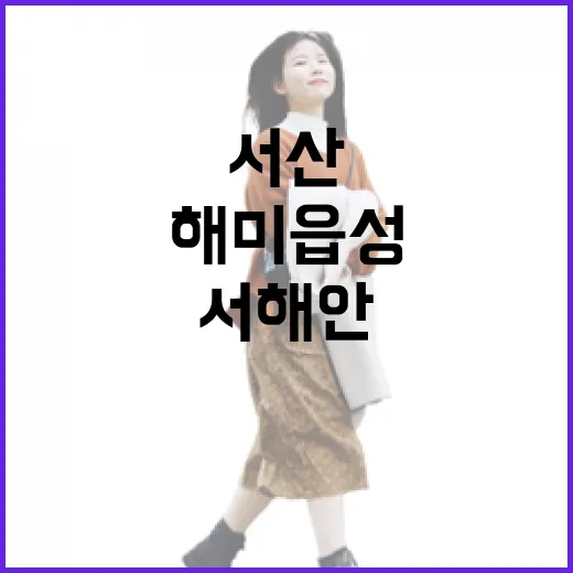 서산 해미읍성, 서해안 역사 명소 탐방