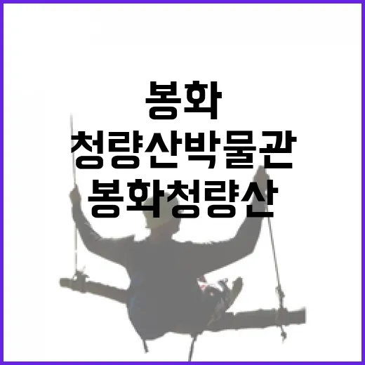 봉화 청량산박물관과 자연의 조화