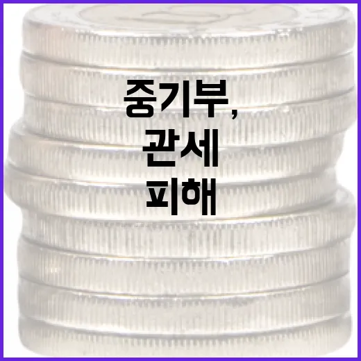 중기부, 관세 피해기업에 4조6000억 지원 확대