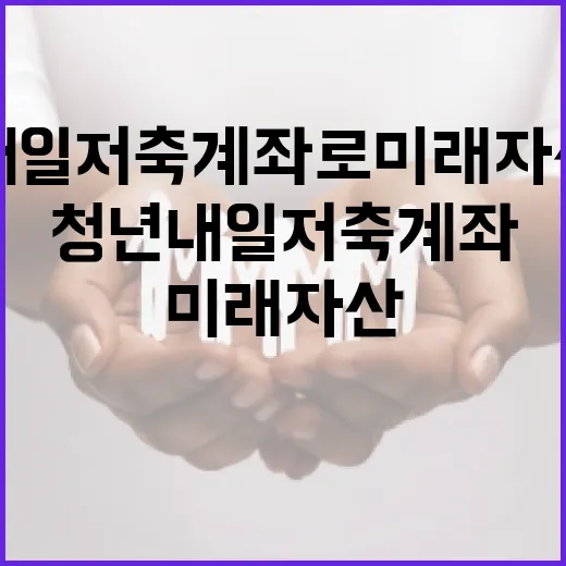 청년내일저축계좌로 미래 자산 쌓기