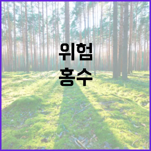 AI로 홍수위험 신속 파악·전국 알림 강화