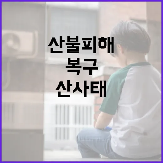 산불피해지역 산사태 응급복구 내달 중순 완료