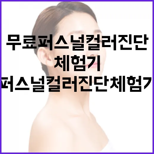 무료 퍼스널컬러 진단 체험기