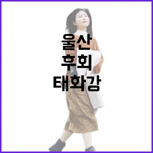 울산 태화강 작약꽃 향연, 놓치면 후회