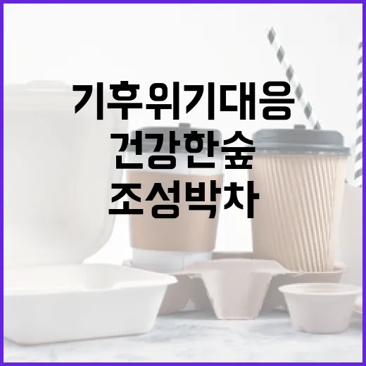 기후위기 대응 건강한 숲 조성 박차