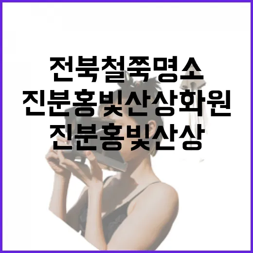 전북 철쭉 명소 진분홍빛 산상 화원
