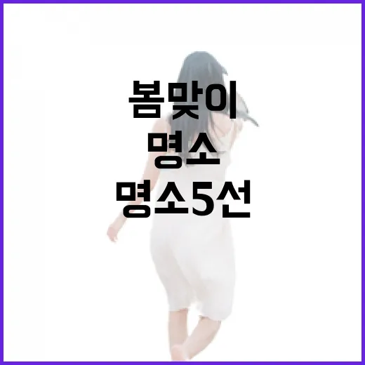 전북 봄맞이 피크닉 명소 5선