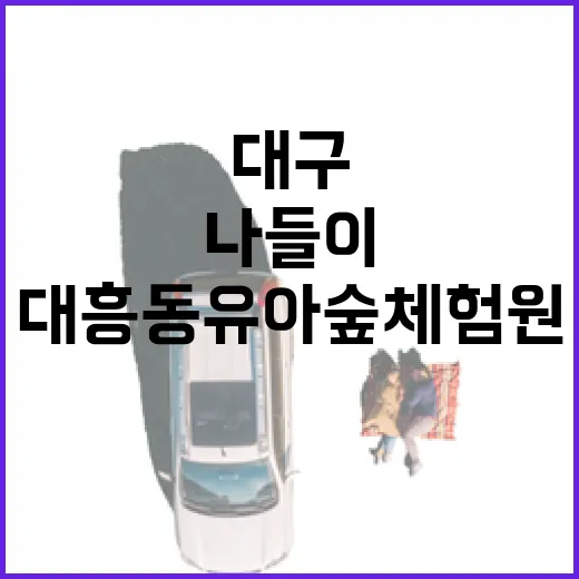 대구 대흥동 유아숲체험원, 아이와 함께 자연 속 나들이