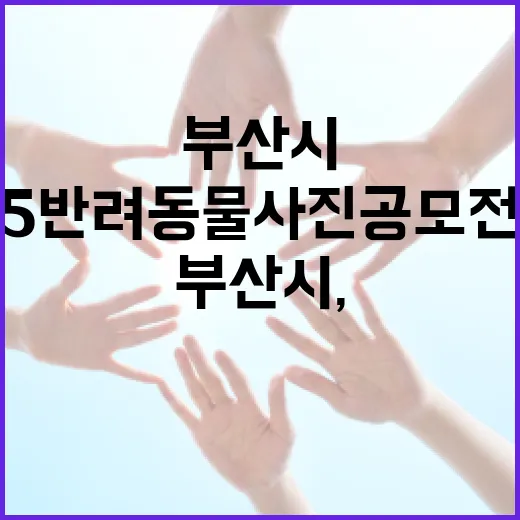 부산시, 2025 반려동물 사진 공모전 개최