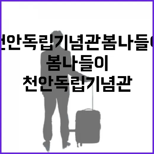 천안 독립기념관 봄나들이 현장