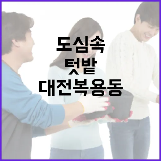 도심 속 힐링 텃밭, 대전 복용동 도시농장