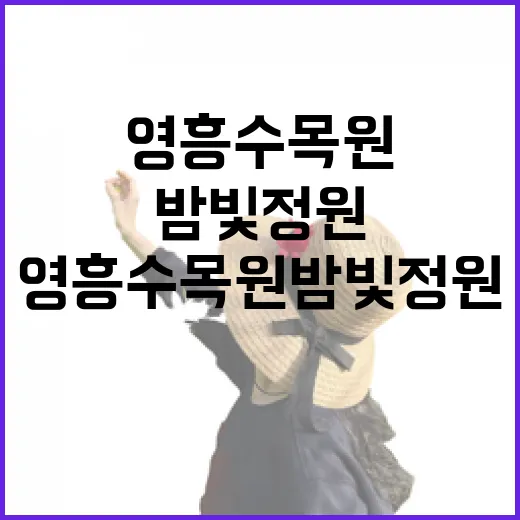 영흥수목원 밤빛정원, 도심 속 자연의 밤