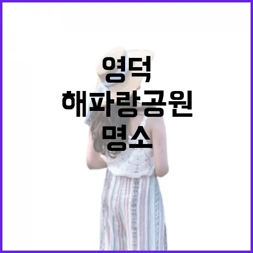 영덕 해파랑공원 가족 피크닉 명소
