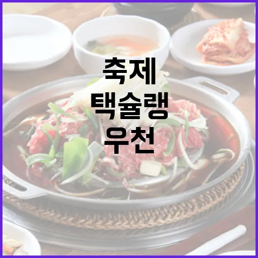 부산 택슐랭 축제, 우천에 실내로 장소 변경