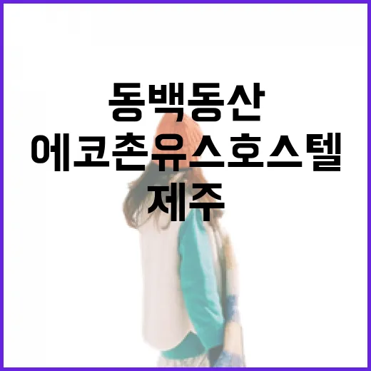동백동산과 에코촌유스호스텔, 제주 힐링 명소