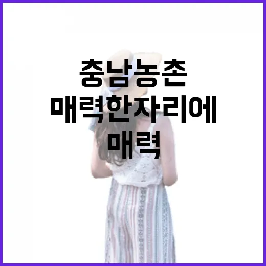 충남 농촌 매력 한자리에 모였다
