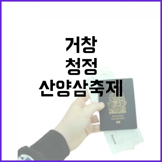 청정 거창에서 만나는 산양삼 축제