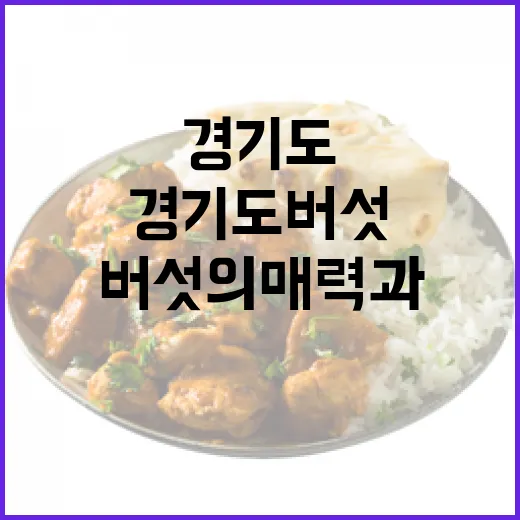 경기도 버섯의 매력과 맛의 세계