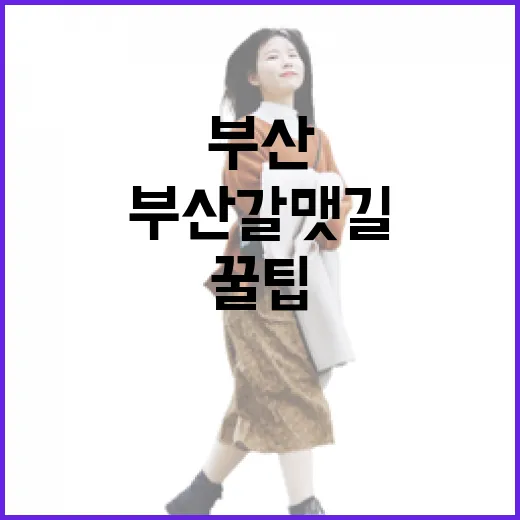 부산 갈맷길 완주 꿀팁 총정리