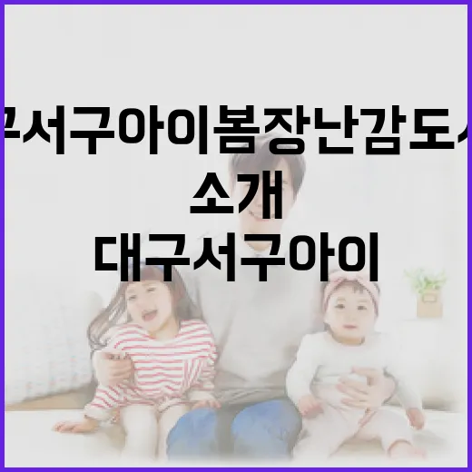 대구 서구 아이봄 장난감도서관 전격 소개