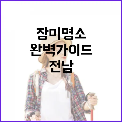 전남 장미 명소 완벽 가이드