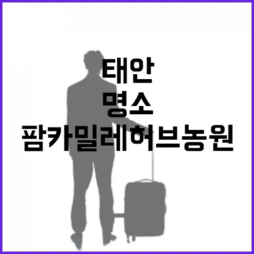 태안 팜카밀레 허브농원 힐링 명소