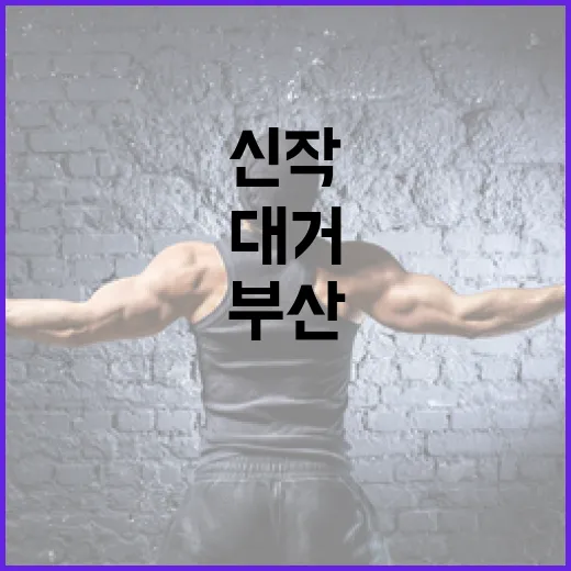 부산살이의 진솔한 이야기