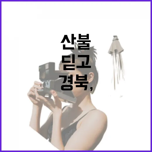 산불 딛고 일어선 경북, 착한 여행의 힘