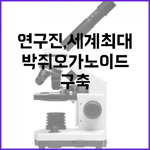 국내 연구진, 세계 최대 박쥐 오가노이드 구축 성공