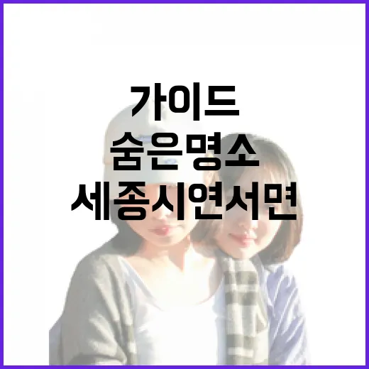 세종시 연서면 숨은 명소 완벽 가이드