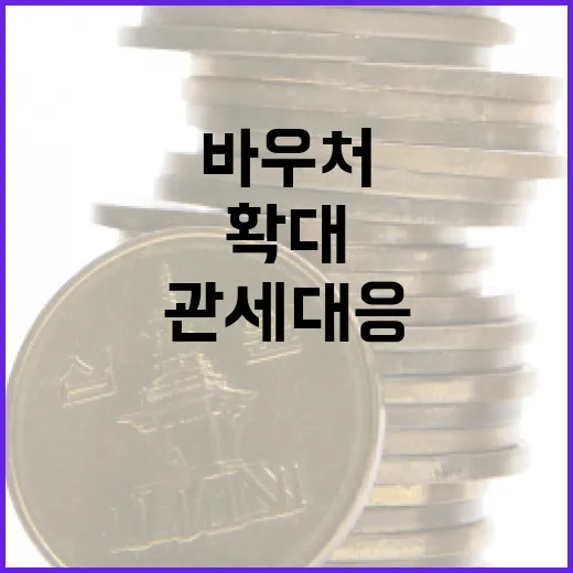 미 관세 대응 바우처 2000개사 지원 확대
