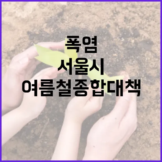 서울시, 폭염·폭우 대비 여름철 종합대책 발표