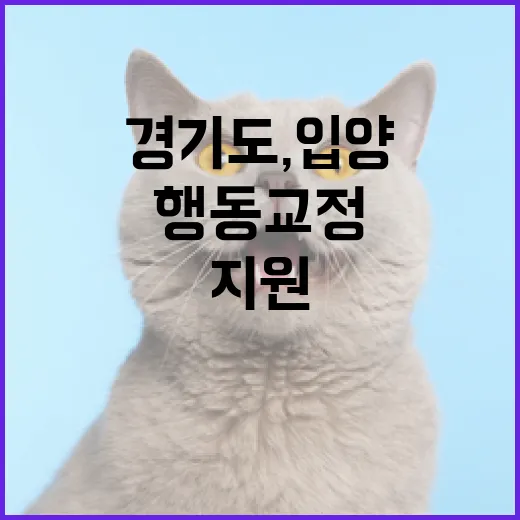 경기도, 입양 반려견 행동교정 무료 지원