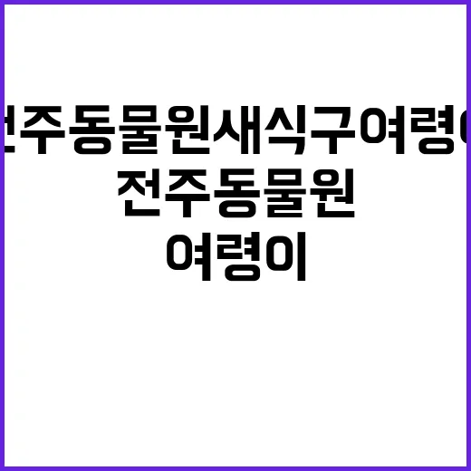 전주동물원 새 식구 여령이의 특별한 적응기