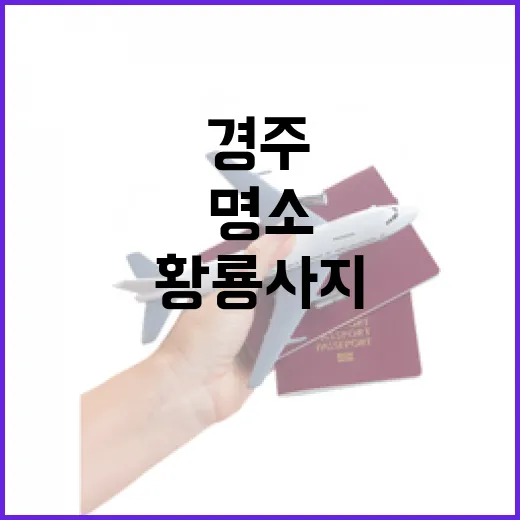 경주 황룡사지 청보리밭 명소 탐방