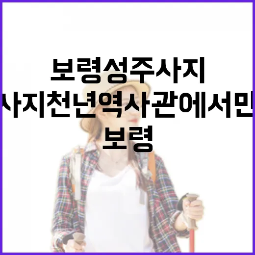 보령 성주사지 천년역사관에서 만나는 역사와 문화