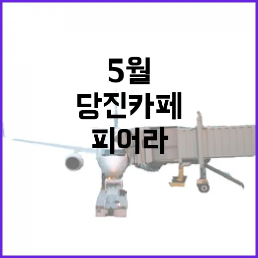 당진 카페 피어라, 5월 청보리 명소