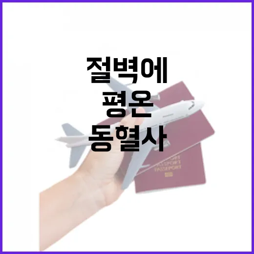 천년고찰 동혈사, 절벽에 깃든 평온의 사찰