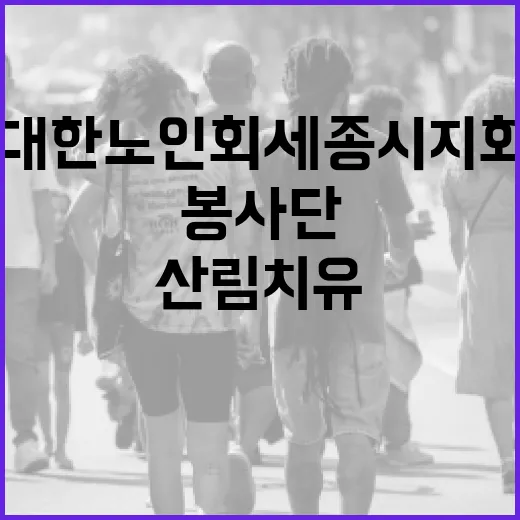 대한노인회 세종시지회 봉사단 산림치유 참여