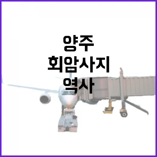 양주 회암사지, 역사와 피크닉의 완벽한 조화
