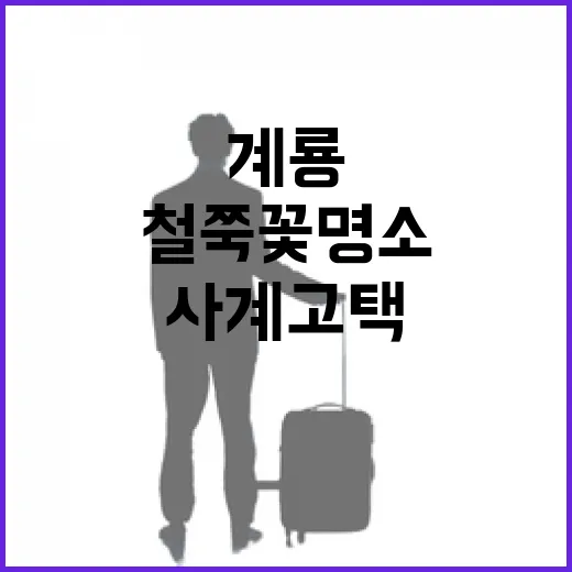 계룡 사계고택 철쭉꽃 명소 산책