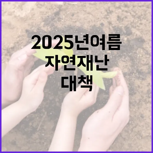 2025년 여름 자연재난 대비 강화 대책