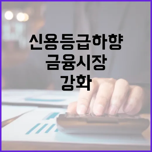 미 신용등급 하향, 금융시장 영향 점검 강화