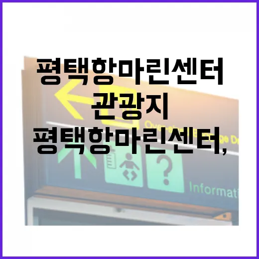 평택항 마린센터, 모두를 위한 무장애 관광지