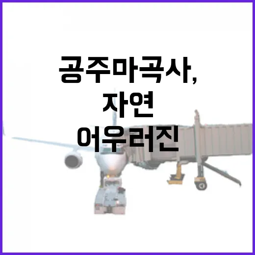 공주 마곡사, 자연과 역사가 어우러진 명소
